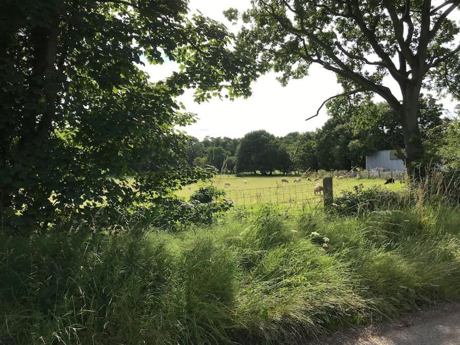 Swafield Betty'S Cottage - Traditional Norfolk Farm Cottage מראה חיצוני תמונה